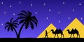 Man on the camel the pyramids. Royalty Free Stock Photo