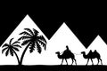 Man on the camel the pyramids. Royalty Free Stock Photo