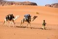 A man with camels, Lybia Royalty Free Stock Photo