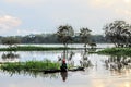 Man canoeing in a tranquil lake surrounded by lush vegetation