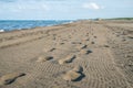 Man and car footprint on sand, Poti, Georgia Royalty Free Stock Photo