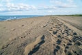 Man and car footprint on sand, Poti, Georgia Royalty Free Stock Photo