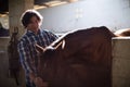 Man caressing the brown horse in the stable Royalty Free Stock Photo