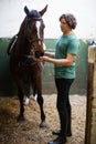 Man caressing the brown horse in the stable Royalty Free Stock Photo
