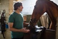 Man caressing the brown horse in the stable Royalty Free Stock Photo