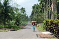 A man carries a big bag on his head on the road among tall palm trees.