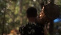 Man carries felled logs through the forest