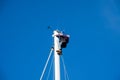 A man carries out work on the top of the mast of a sailboat