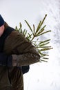 Man carries small felled tree to his home before Christmas and New year. Person walks in the snow