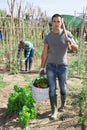 Man carrying basket with vegetables harvested on garden Royalty Free Stock Photo