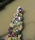 A man carrying flowers on Mekong river Royalty Free Stock Photo