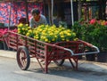 A man carrying flowers to the market in Tien Giang, Vietnam