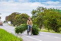 Man carrying green fodder on his bicycle on the road to El Cerrito in the Valle del Cauca