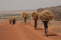 Man carrying hay in Africa