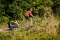 Man carrying his dog on a bicycle trailer