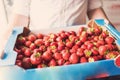 Man carrying a large box of strawberries