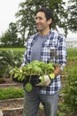 Man Carrying Plants In Field Royalty Free Stock Photo