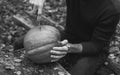 A man carves a pumpkin close-up, black and white photo,