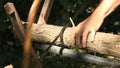 Man cutting acaccia log using hand saw, close up