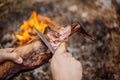 Man carving grilled rabbit meat in forest camp. Top view.