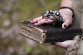 A man in a cassock spends a ritual in a dark forest