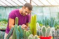 Man caucasian gardener examines many different cacti seedlings of columnar cacti. Growing and caring for plants and flowers in Royalty Free Stock Photo