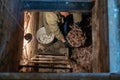 A man in the cellar is sorting potatoes. Russian tradition of storing vegetables in the cellar of the house. The potato has