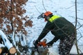 A man with a chainsaw saws branches and tree trunks. Deforestation in winter. The work of a woodcutter in severe winter conditions Royalty Free Stock Photo