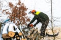 A man with a chainsaw saws branches and tree trunks. Deforestation in winter. The work of a woodcutter in severe winter conditions Royalty Free Stock Photo