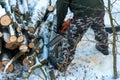 A man with a chainsaw saws branches and tree trunks. Deforestation in winter. The work of a woodcutter in severe winter conditions Royalty Free Stock Photo