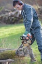 Man chainsawing through tree trunk Royalty Free Stock Photo