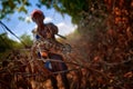 Man with the chameleon in the forest, Kirindy in Madagascar. Human with ling tail lizard