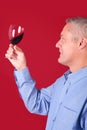 Man checking a glass of red wine for clarity