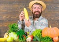 Man cheerful bearded farmer hold corncob or maize wooden background. Farmer straw hat presenting fresh vegetables Royalty Free Stock Photo