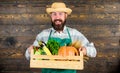 Man cheerful bearded farmer wear apron presenting vegetables box wooden background. Fresh vegetables delivery service Royalty Free Stock Photo