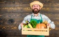 Man cheerful bearded farmer wear apron presenting vegetables box wooden background. Farmer hipster straw hat deliver Royalty Free Stock Photo