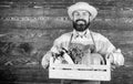 Man cheerful bearded farmer wear apron presenting vegetables box wooden background. Farmer hipster straw hat deliver Royalty Free Stock Photo