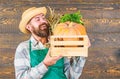 Man cheerful bearded farmer wear apron presenting vegetables pumpkin wooden background. Farmer straw hat deliver fresh