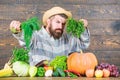 Man chef with rich autumn crop. organic and natural food. happy halloween. harvest festival. bearded mature farmer