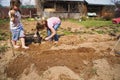 Man, children, kids dig soil, land with shovel, make garden beds for spring planting of potatoes. Good harvest. Family farming, Royalty Free Stock Photo