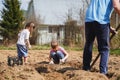 Man, children, kids dig soil, land with shovel, make garden beds for spring planting of potatoes. Good harvest. Family farming, Royalty Free Stock Photo