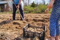 Man, children, kids dig soil, land with shovel, make garden beds for spring planting of potatoes. Good harvest. Family farming, Royalty Free Stock Photo