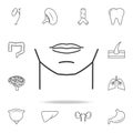 man chin icon. Detailed set of human body part icons. Premium quality graphic design. One of the collection icons for websites, we