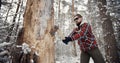 Man chopping old tree, winter Royalty Free Stock Photo