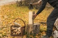 A man is chopping wood with an axe. Royalty Free Stock Photo