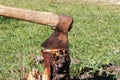 A man is chopping wood with an axe Royalty Free Stock Photo