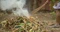 Man cleaning fallen autumn leaves in the backyard, burn fire green and dry coconut tree leaf in garden,