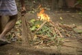 Man cleaning fallen autumn leaves in the backyard, burn fire green and dry coconut tree leaf in garden,