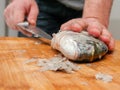 Man cleaning fresh sea bream on a wooden board with knife holding fish by it head. Descaling stage