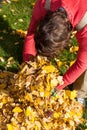 Man cleaning garden from leaves Royalty Free Stock Photo